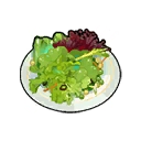 Lettuce Salad