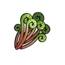 Fiddlehead