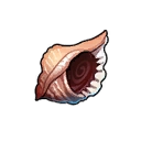 Conch