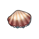 Scallop